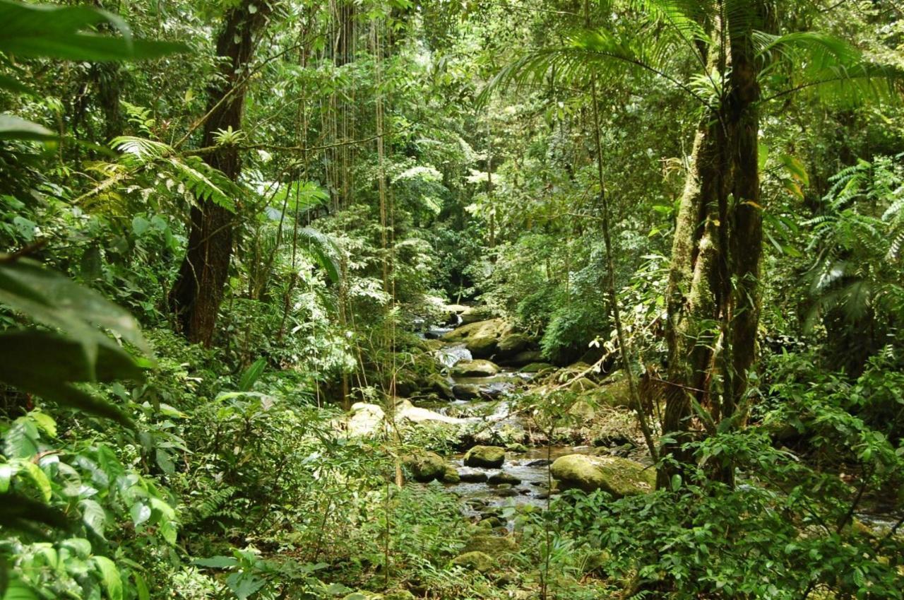 Pousada Portal Do Cacau-Petfriendly Camburi  Esterno foto